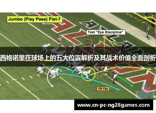 西格诺里在球场上的五大位置解析及其战术价值全面剖析