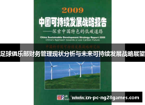 足球俱乐部财务管理现状分析与未来可持续发展战略展望