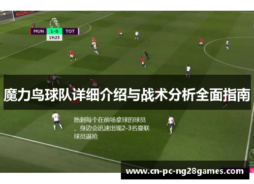 魔力鸟球队详细介绍与战术分析全面指南